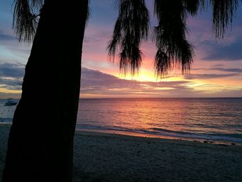 Silhouette trees on beach against sky during sunset