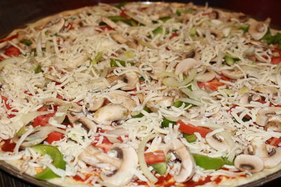 Close-up of meal served in plate