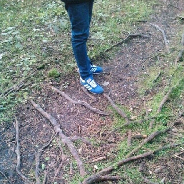 low section, person, shoe, lifestyles, leisure activity, standing, men, jeans, high angle view, unrecognizable person, footwear, human foot, grass, forest, day, outdoors, field