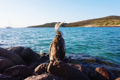 Scenic view of sea against clear sky