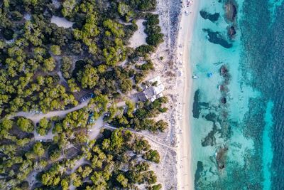 Aerial view of beach