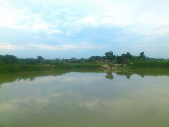 Reflection of trees in water