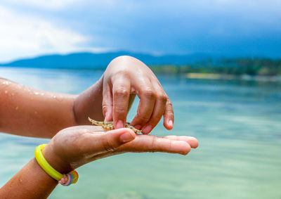 Cropped image of woman holding starfish at beach