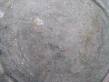 High angle view of bird in water