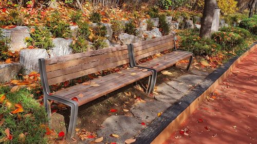 Empty bench in park during autumn