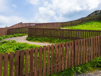 Plants growing on field