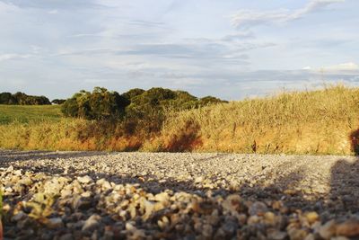 Surface level of road against sky