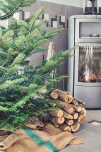 View of food on table against trees
