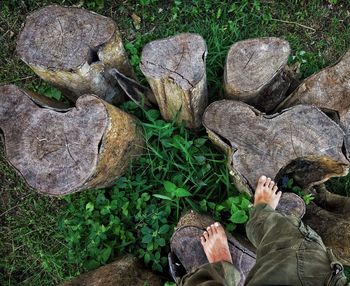 Low section of man on rock in forest