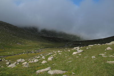 Scenic view of field against sky