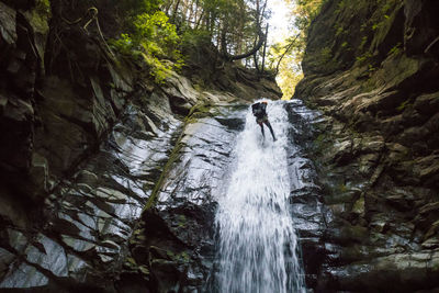 Scenic view of waterfall in forest