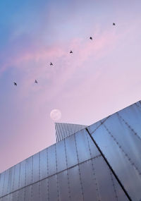 Low angle view of birds flying above a steel building in the light pink sky with a moon