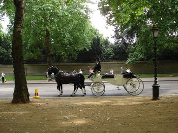 Man riding horse