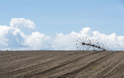 Scenic view of agricultural field against sky