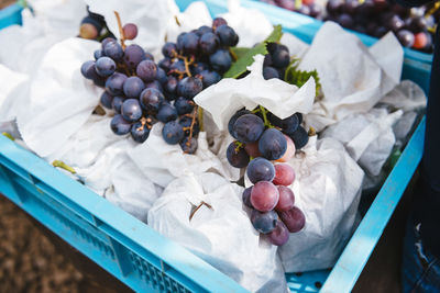 High angle view of grapes in container