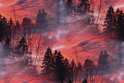 Silhouette trees on landscape against sky at sunset