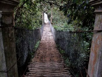 Footpath amidst trees in forest