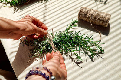 Alternative medicine. woman holding in her hands a bunch of rosemary. 