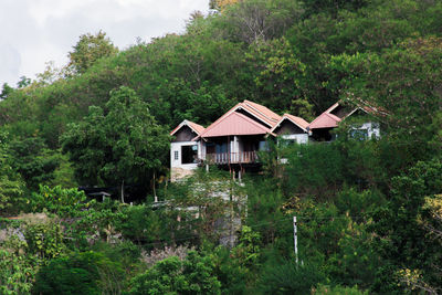 Houses by trees and plants in forest against sky