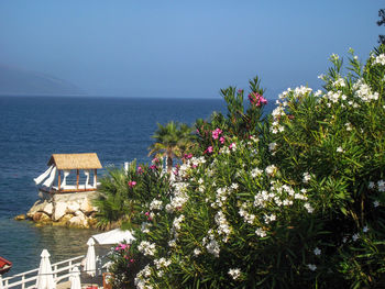 Scenic view of sea against clear sky