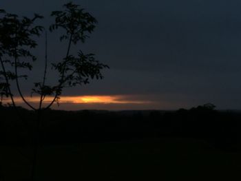 Silhouette trees against sky during sunset