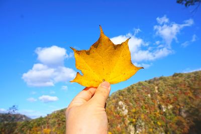 Close-up of hand holding maple leaf against sky