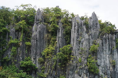 Low angle view of rocks in forest against sky