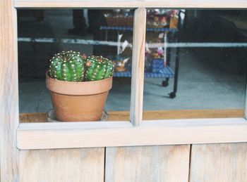 Potted plant on wooden table