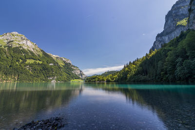 Scenic view of lake in forest against sky