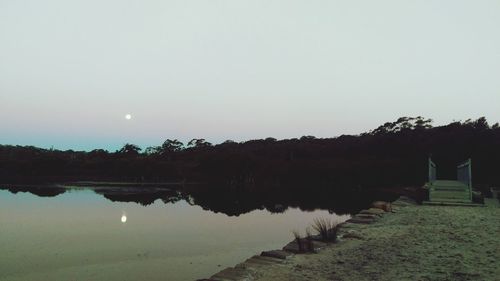 Reflection of trees in water