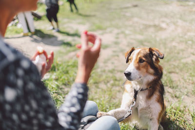 Dog looking at woman on field