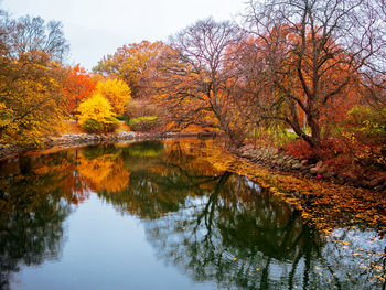 Reflection of trees on lake during autumn