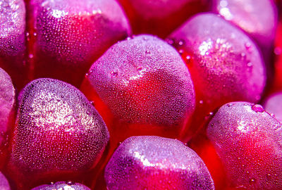 Full frame shot of strawberries