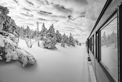 Snow covered plants and trees against sky