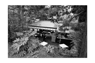 View of house and plants