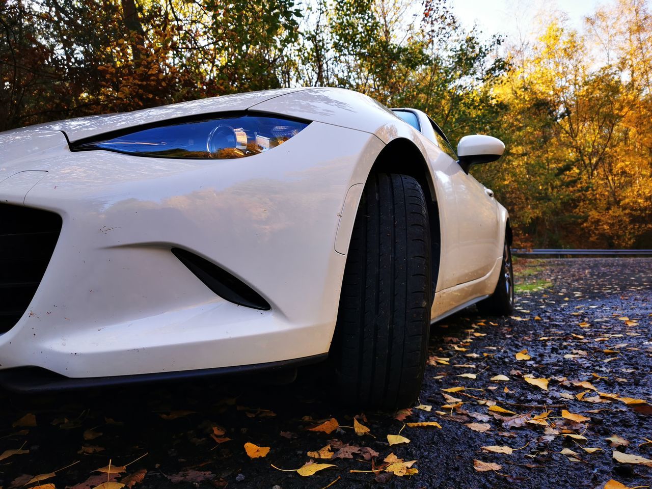 car, vehicle, land vehicle, mode of transportation, transportation, automobile, motor vehicle, autumn, supercar, tree, leaf, plant part, sports car, plant, nature, wheel, no people, outdoors, forest, performance car, white, day
