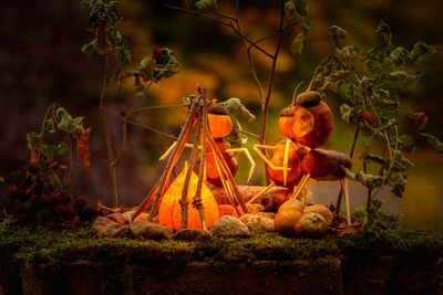 Close-up of pumpkins on land