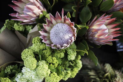 Close-up of flowering plant