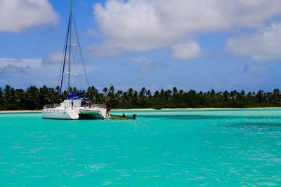 Sailboat sailing on sea against sky