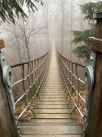 Empty footbridge amidst trees and plants