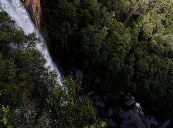 High angle view of waterfall amidst trees in forest