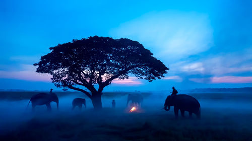 Silhouette of elephant on field against sky