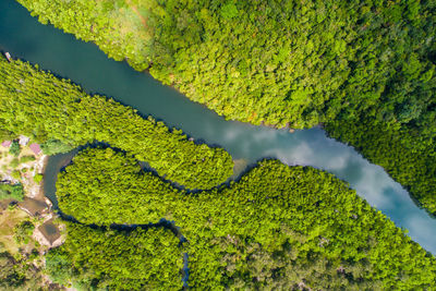 Scenic view of landscape