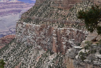 South rim grand canyon