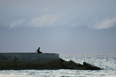 View of bird perching on sea against sky