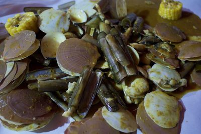 High angle view of shells in plate