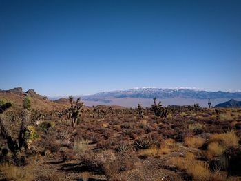 Scenic view of landscape against clear blue sky