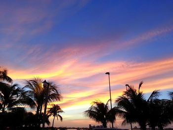 Silhouette of palm trees at sunset