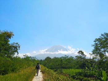 Rear view of people on mountain against blue sky