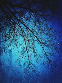 Low angle view of bare trees against blue sky